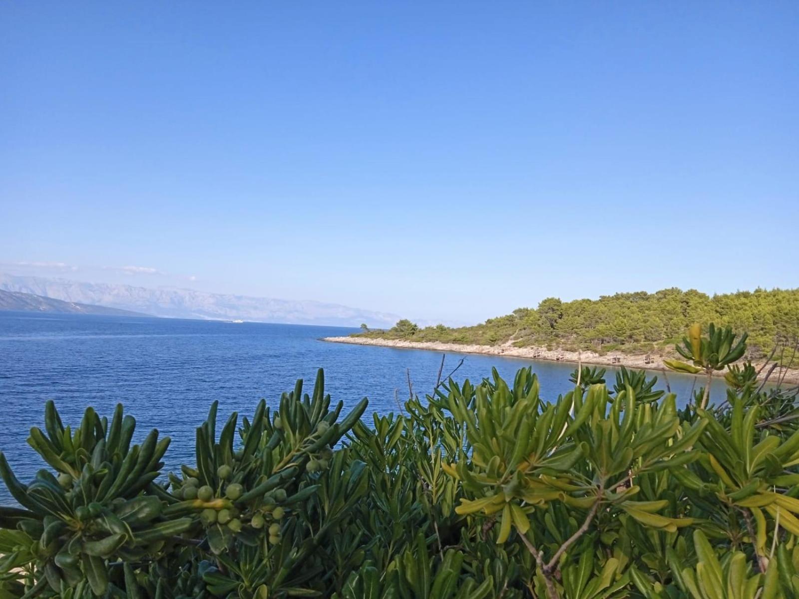 Mala Basina -Maslina Lägenhet Vrbanj Exteriör bild